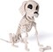 Posable Halloween Dog Skeleton Full Body Posable Joints Skeleton Puppy for Halloween Decoration, Graveyard Party Deco (9.8” X 4.7” X 12.6”)